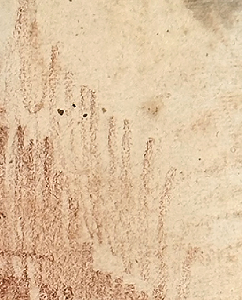 Early 1900's Antique French City Scene Drawing on Paper in Sepia Crayon, Signed by French Artist Maurice de Lambert